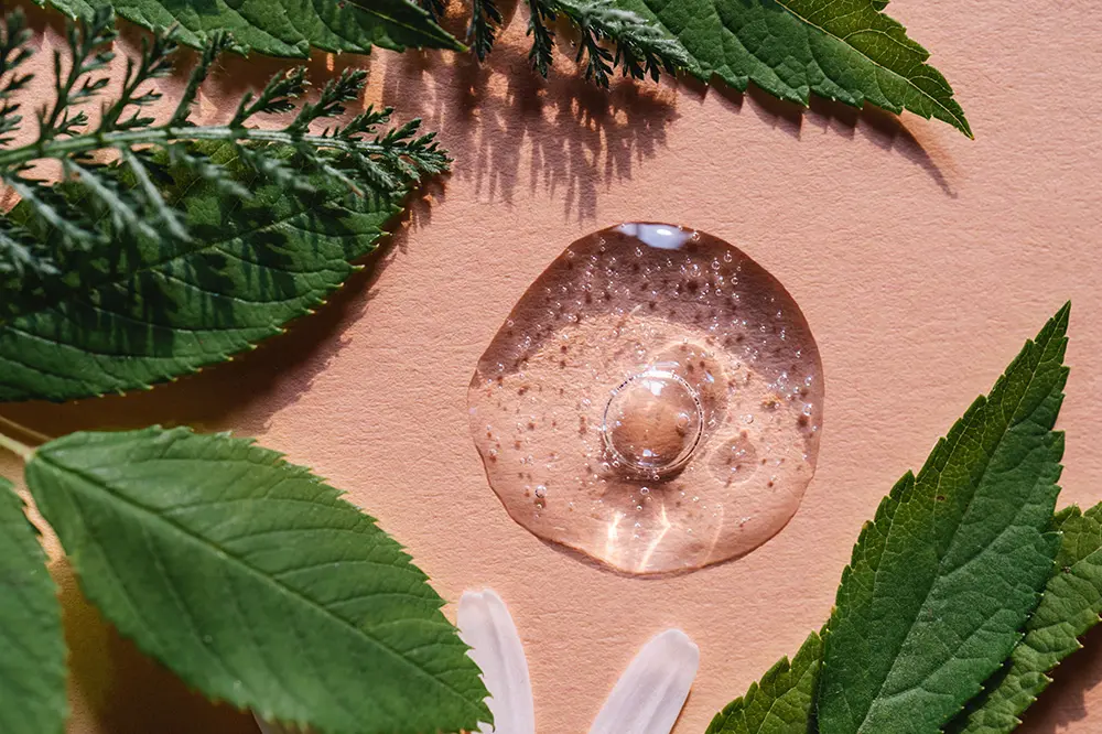 Extractos vegetales para fórmulación cosmética